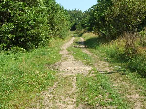 Zachód słońca Kopalino