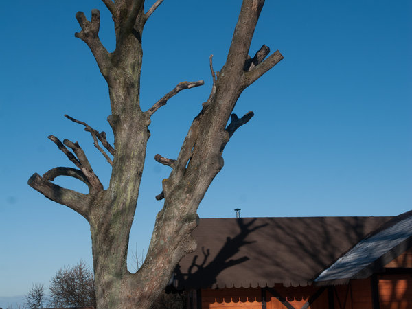 Kopalino v zimě — fotografie 15
